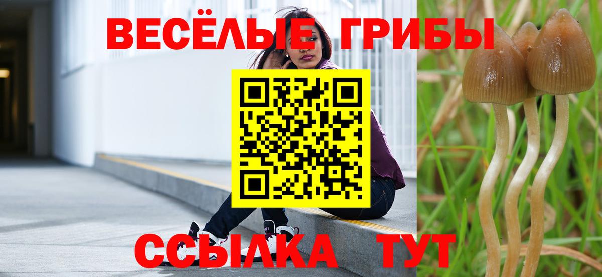 Псилоцибиновые грибы Psilocybine cubensis  Псилоцибиновые грибы MAGIC MUSHROOMS  Вход с VPN  Сарапул 