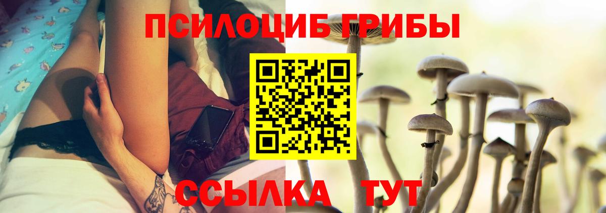 Галлюциногенные грибы Psilocybe Сарапул